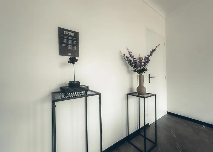 Lava Studio